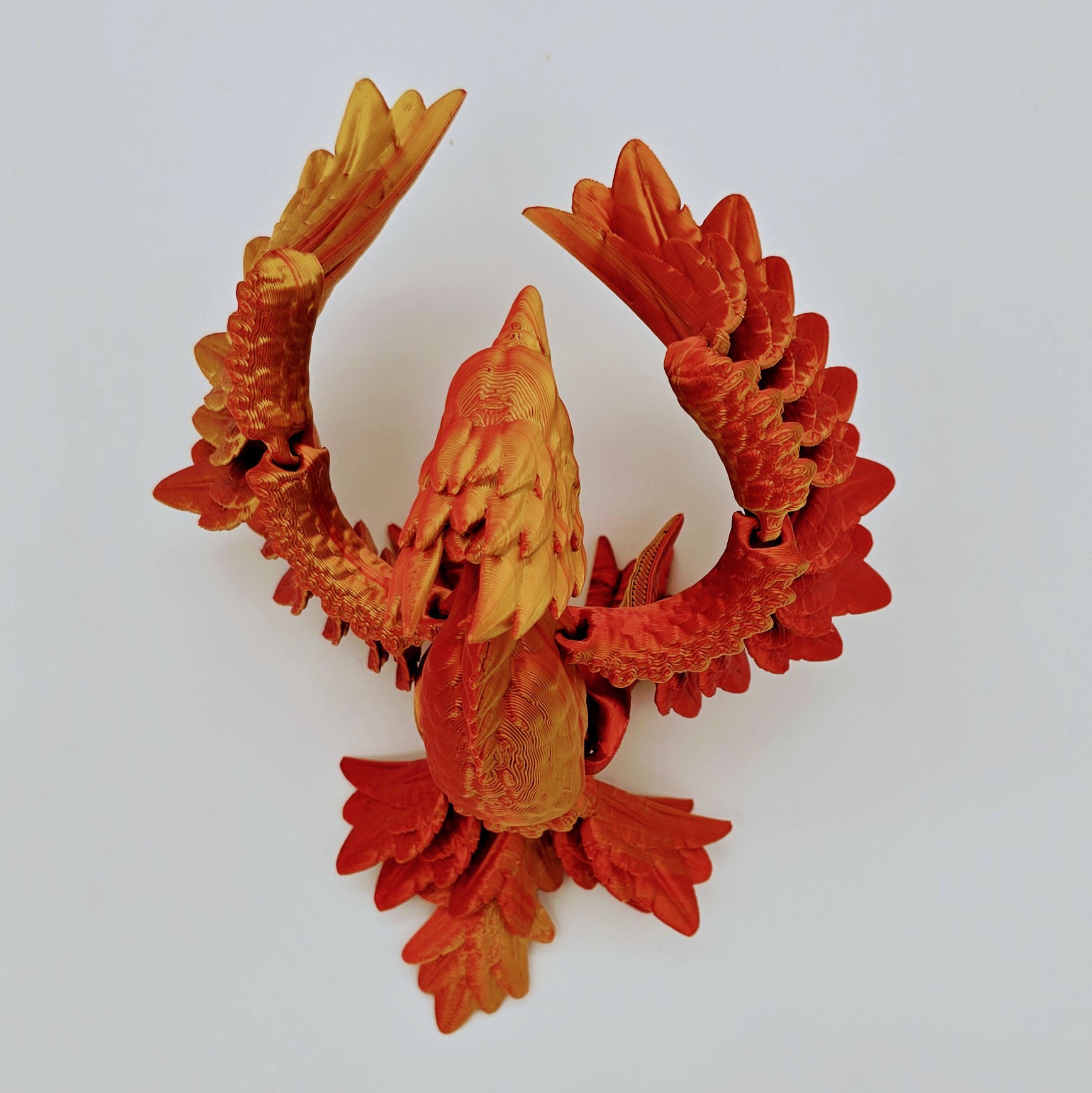 Phönix Flexi Ansicht 7